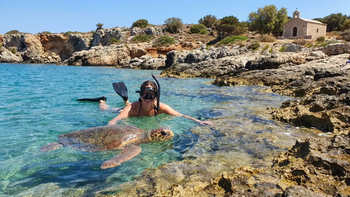 Nurek podczas snorkelingu obserwujący żółwia morskiego Caretta caretta w krystalicznej wodzie na Krecie